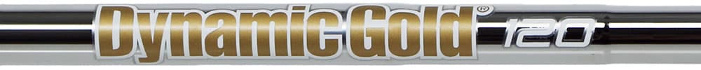True Temper DG 120 shaft